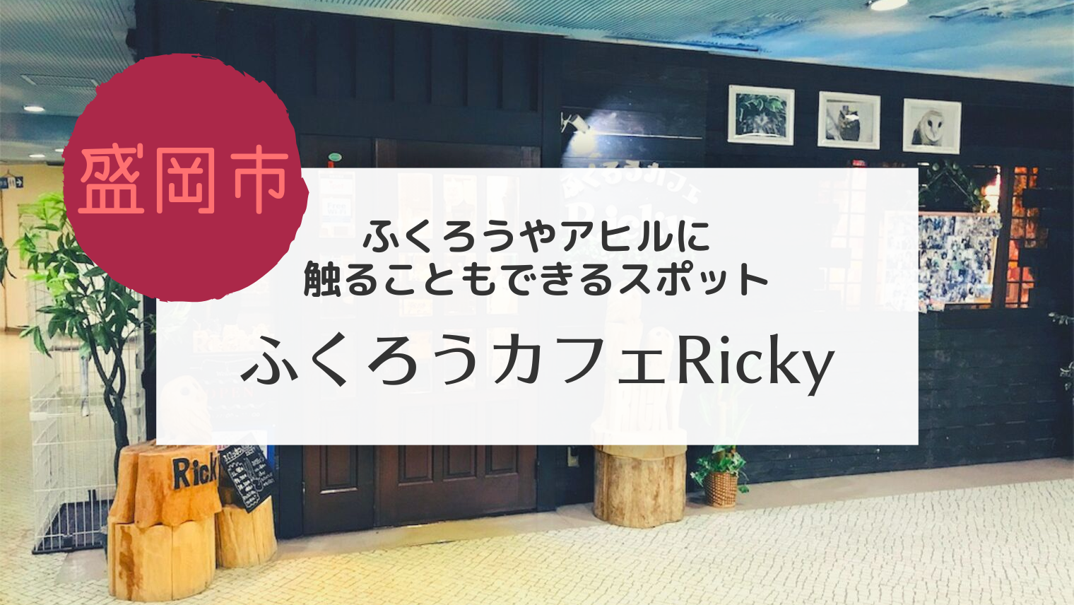 盛岡 ふくろうカフェrickyで福を貰いました こぎの岩手情報ブログ