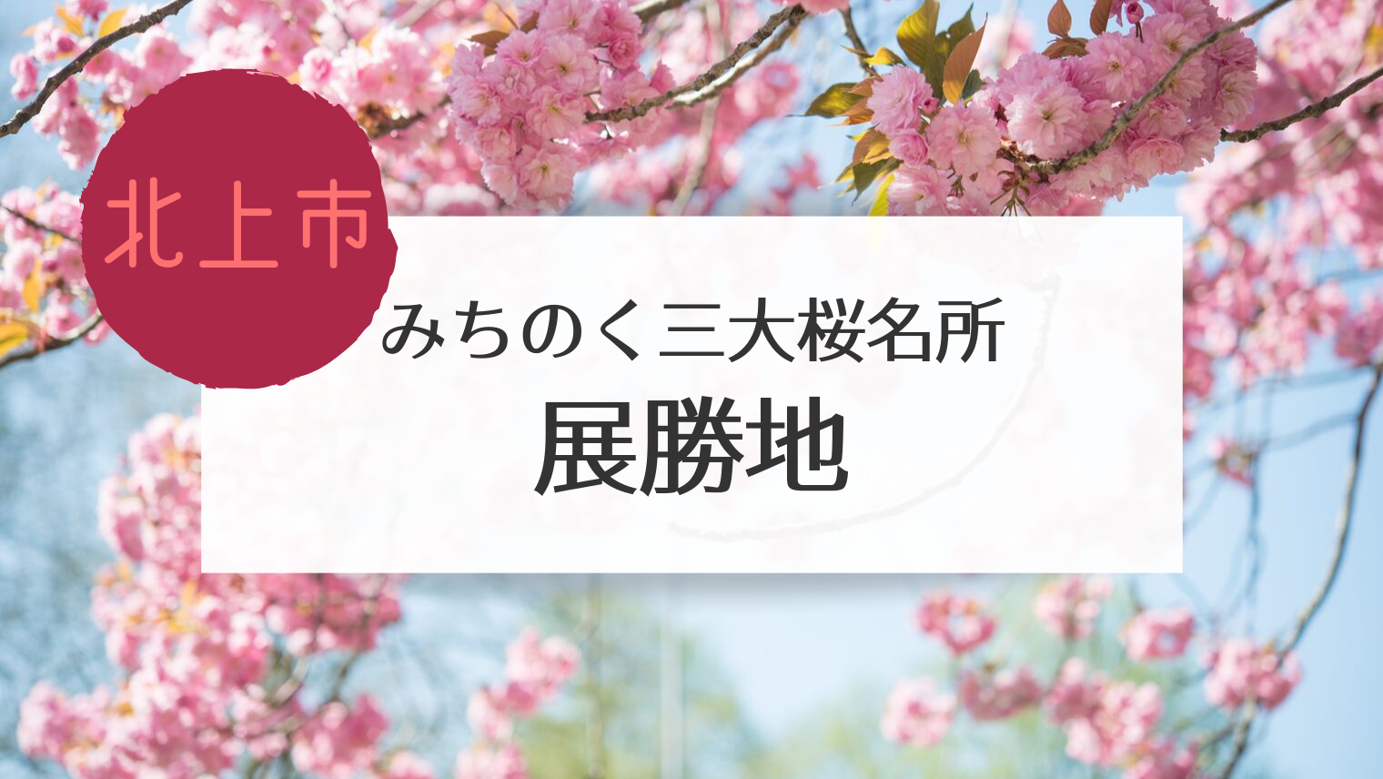 北上 展勝地の桜は散ったけど 鯉のぼりや屋台を満喫しました こぎの岩手情報ブログ 北上 展勝地の桜は散ったけど 鯉のぼりや屋台を満喫しました こぎの岩手情報ブログ