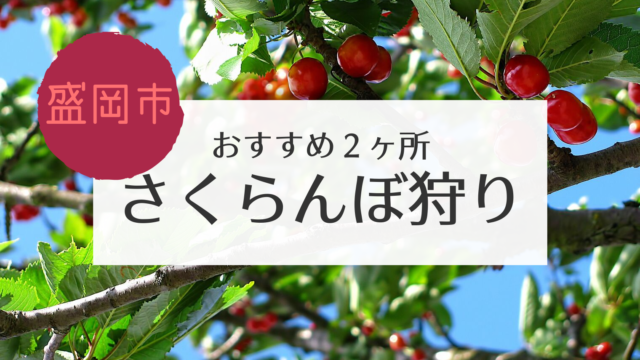 岩手盛岡さくらんぼ狩り